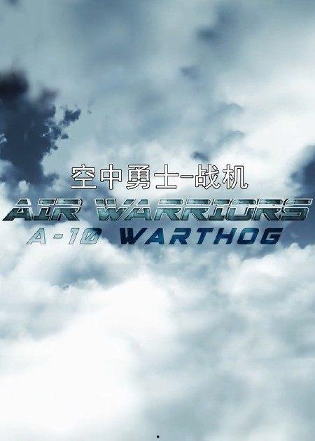 战机：空中勇士 第五季